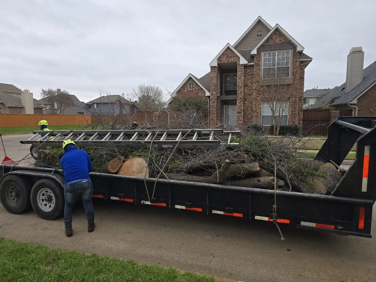 Expert Tree Fertilization with proper safety equipment in Northampton